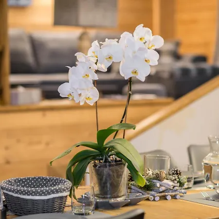 Superbe 80m² Pour 6 A 1850 - 3 Chambres, Parking, Casier A Skis - Fr-1-564-42 Apartment Courchevel